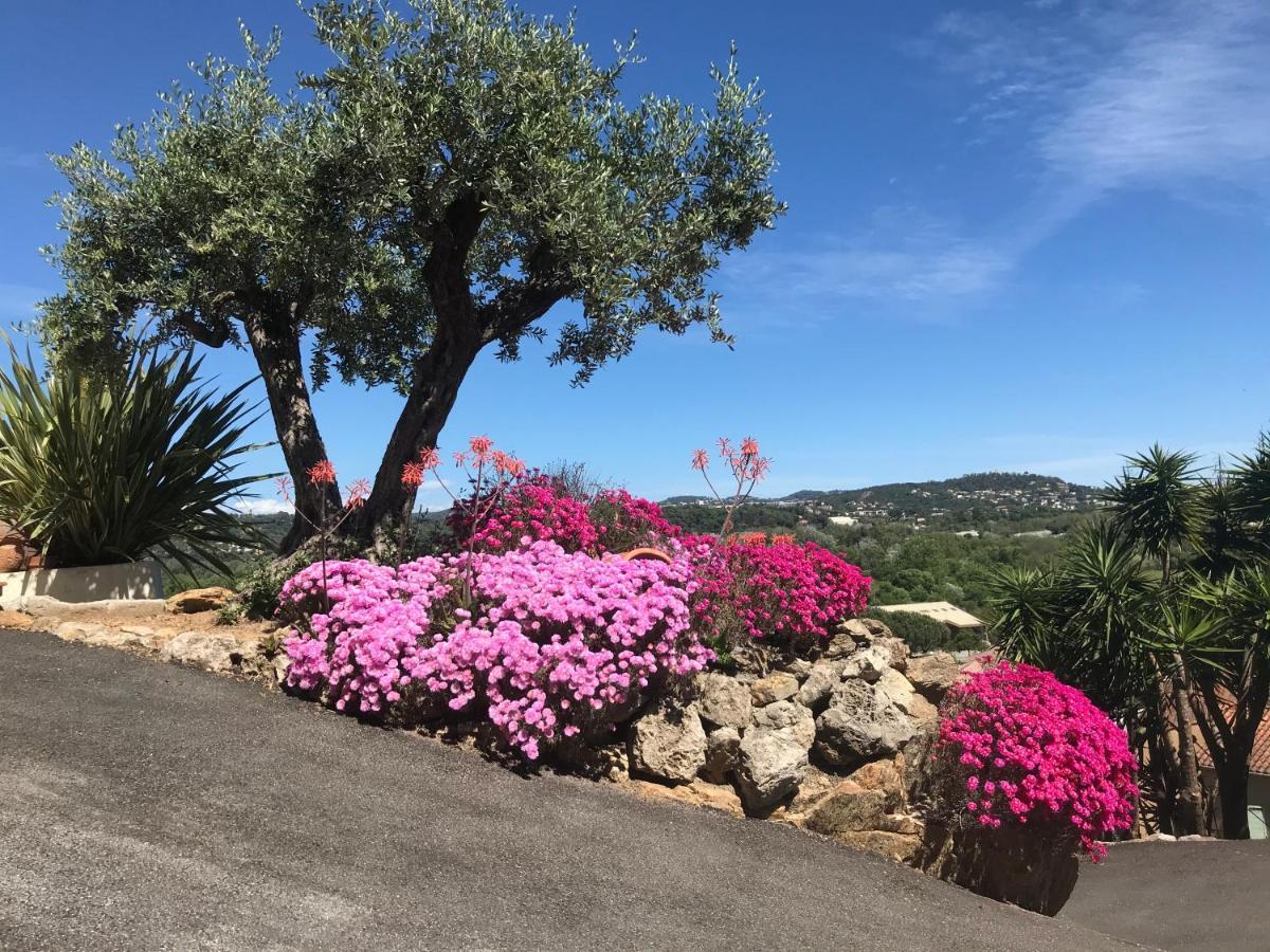 3 Bedrooms Villa Near Cannes - Pool & Jacuzzi - Sea View Mandelieu-la-Napoule Exterior photo